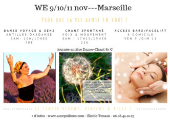 WE 10_11 nov---Marseille Pour que la vie danse en vous !