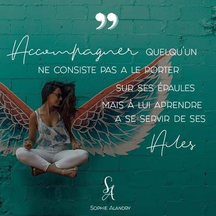 accompagner ailes